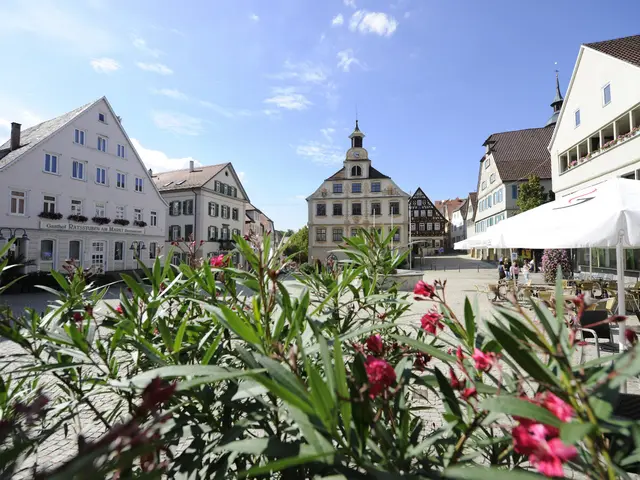 Blick über Blumen auf den Marktplatz mit Rathaus